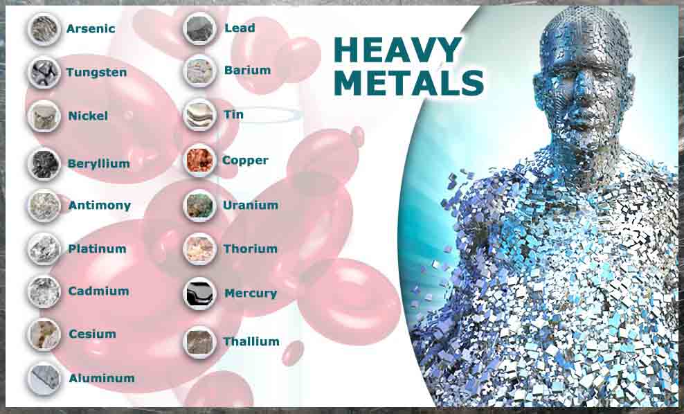 Накопление тяжелых металлов в организме